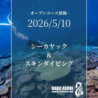 1人参加 OK のオープンコースのご案内です!
シーカヤックでポイントを移動し、北部の珊瑚モリモリな海をスキンダイビングで楽しむツアーです🤿
深く潜れなくても、ただシュノーケリングを楽しみたい人でも OK です👌
日時:2026年5月10日
場所:北部(国頭辺りを予定)
時間:9時〜15時
料金:1万5000円
〈参加条件〉
・シーカヤック及びシュノーケリングの経験がある程度ある方
お問い合わせ DM でよろしくお願いします!
#シーカヤック
#スキンダイビング
#沖縄