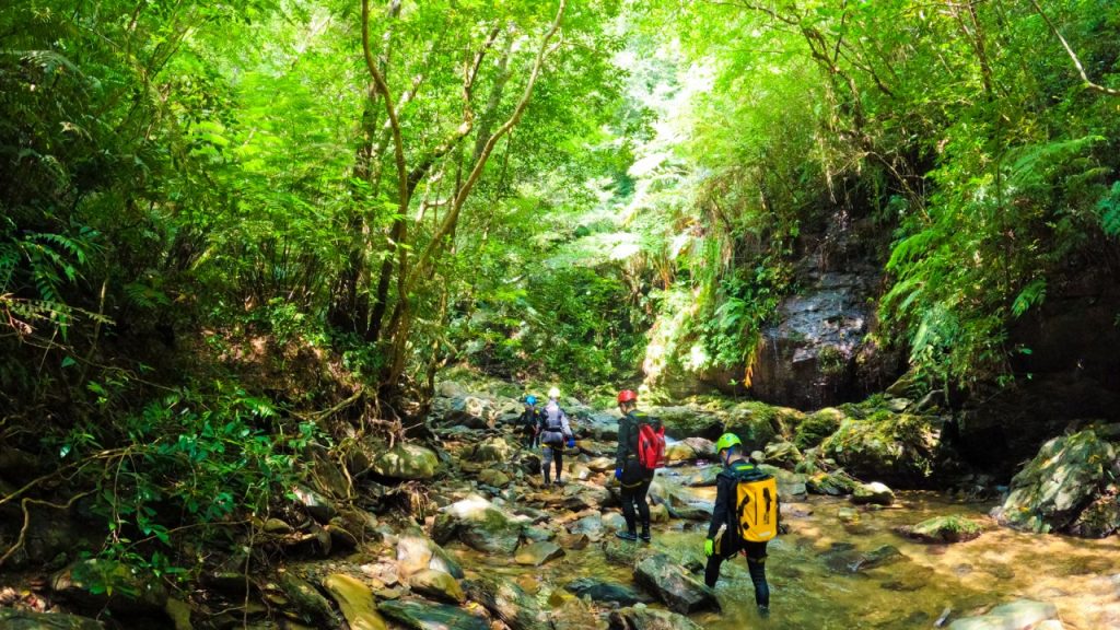 沖縄　トレッキング